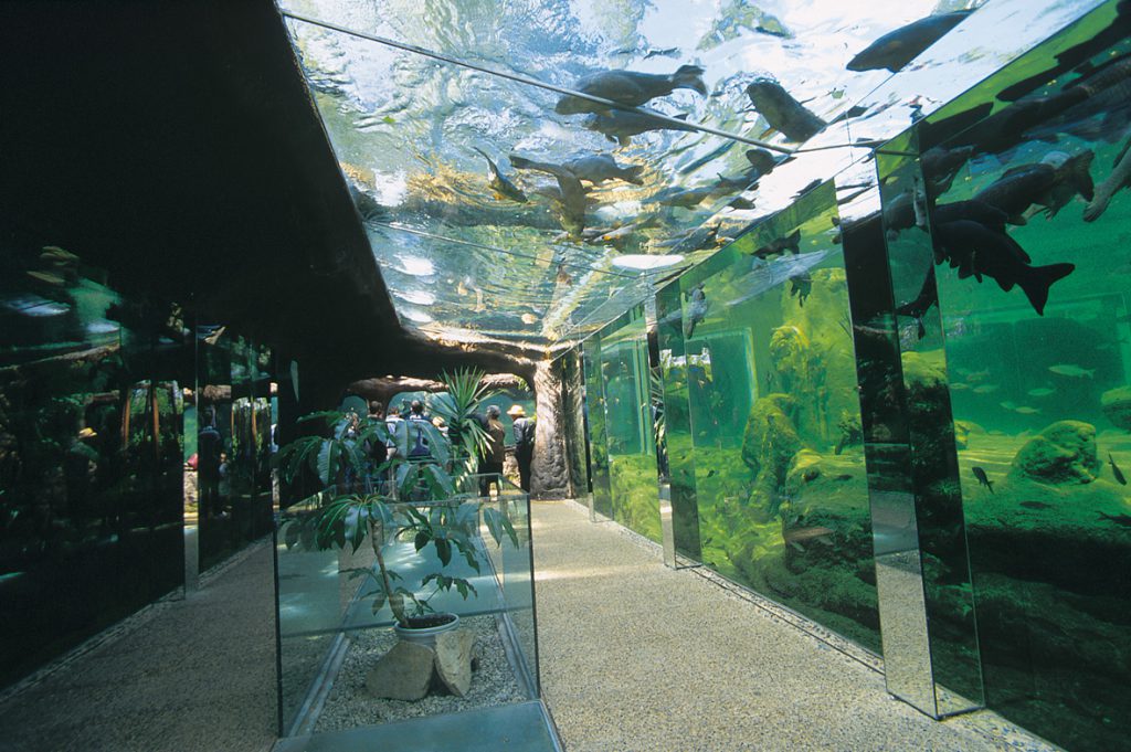 Aquarium du Périgord Noir (univerland), espace pour événement d'entreprise, Dordogne