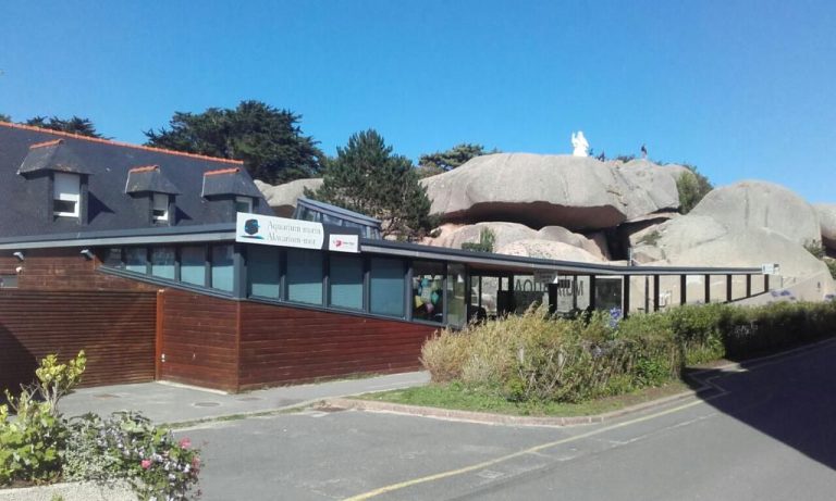 Aquarium Marin de Trégastel, événement d'entreprise Côtes-d'Armor