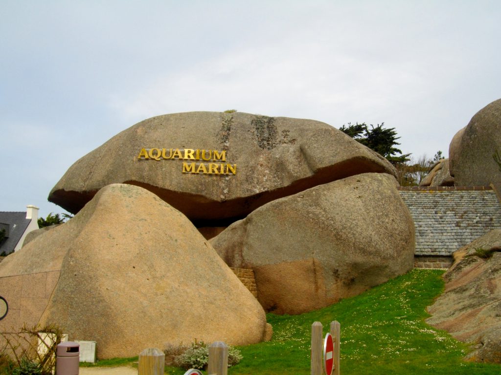 Aquarium Marin de Trégastel, séminaire d'entreprise, Côtes-d'Armor