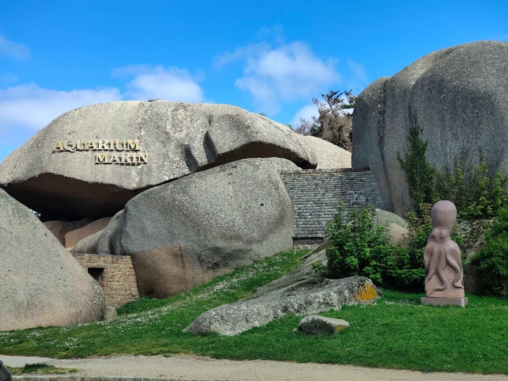Aquarium Marin de Trégastel, espace séminaire pour entreprise en Côtes-d'Armor