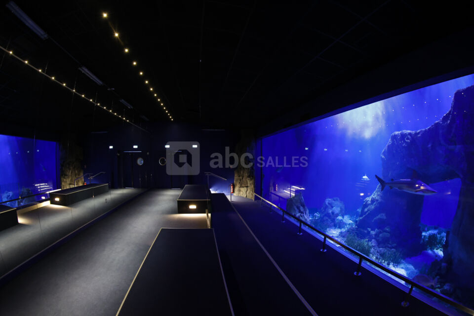 Aquarium Oniria, séminaire d'entreprise, Pyrénées-Orientales