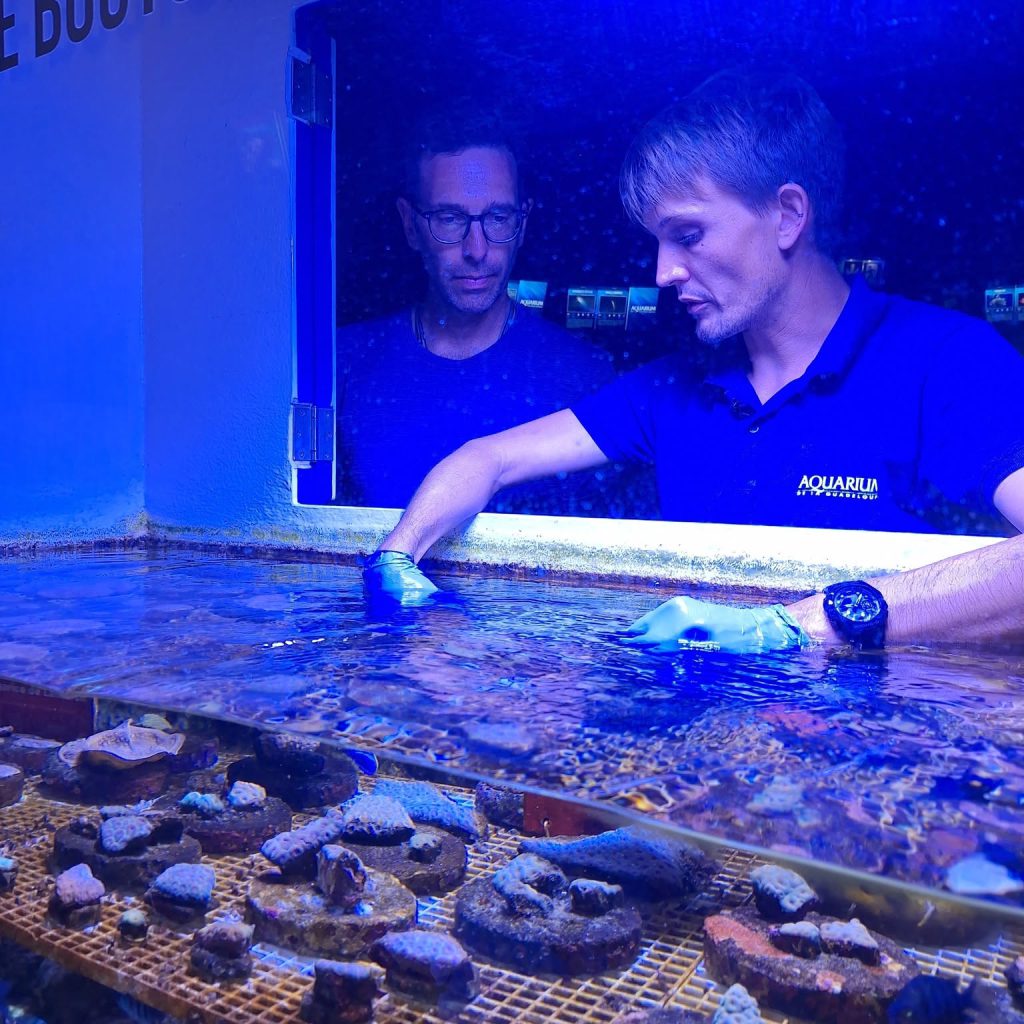 Aquarium Sea Life Paris Val d'Europe, espace séminaire pour entreprise en Seine-et-Marne