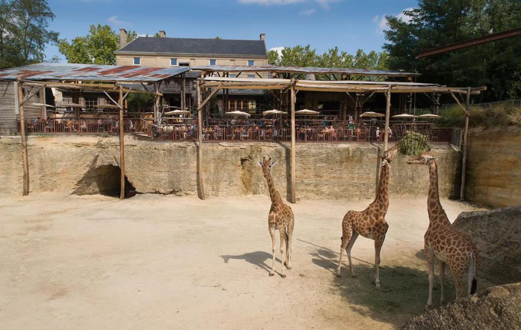 Bioparc Zoo de Doué-la-Fontaine, séminaire d'entreprise, Maine-et-Loire