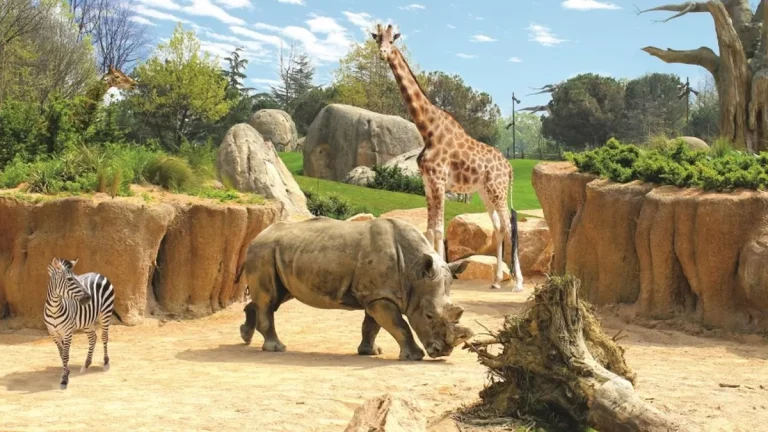 Bioparco Zoom Torino, événement d'entreprise 