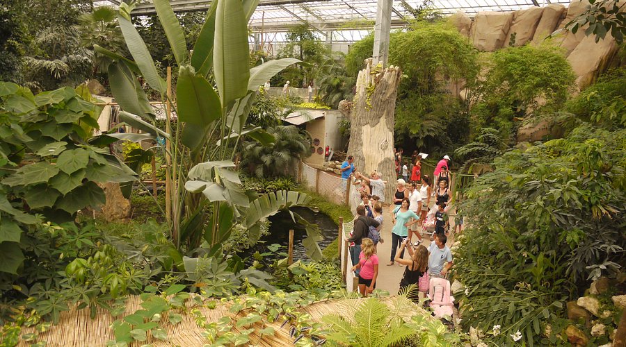 Biotropica, espace pour événement d'entreprise, Eure