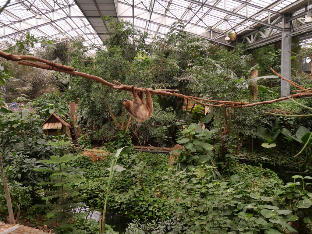 Biotropica, espace séminaire pour entreprise en Eure