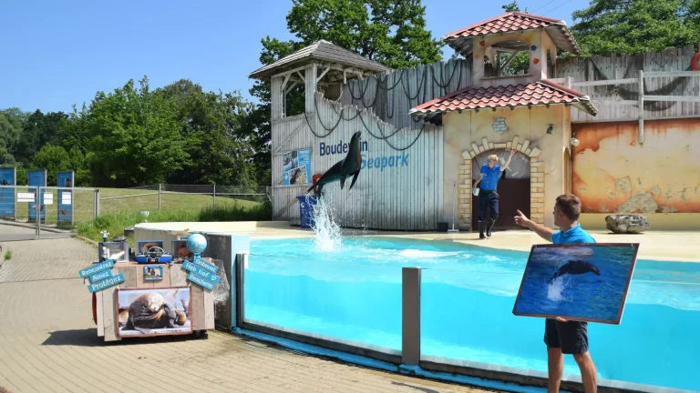 Boudewijn Seapark, événement d'entreprise Corse