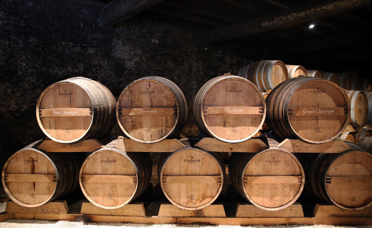 Camus Cognac, événement d'entreprise Charente