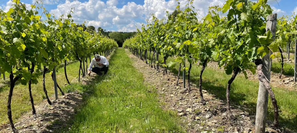 Camus Cognac, séminaire d'entreprise, Charente