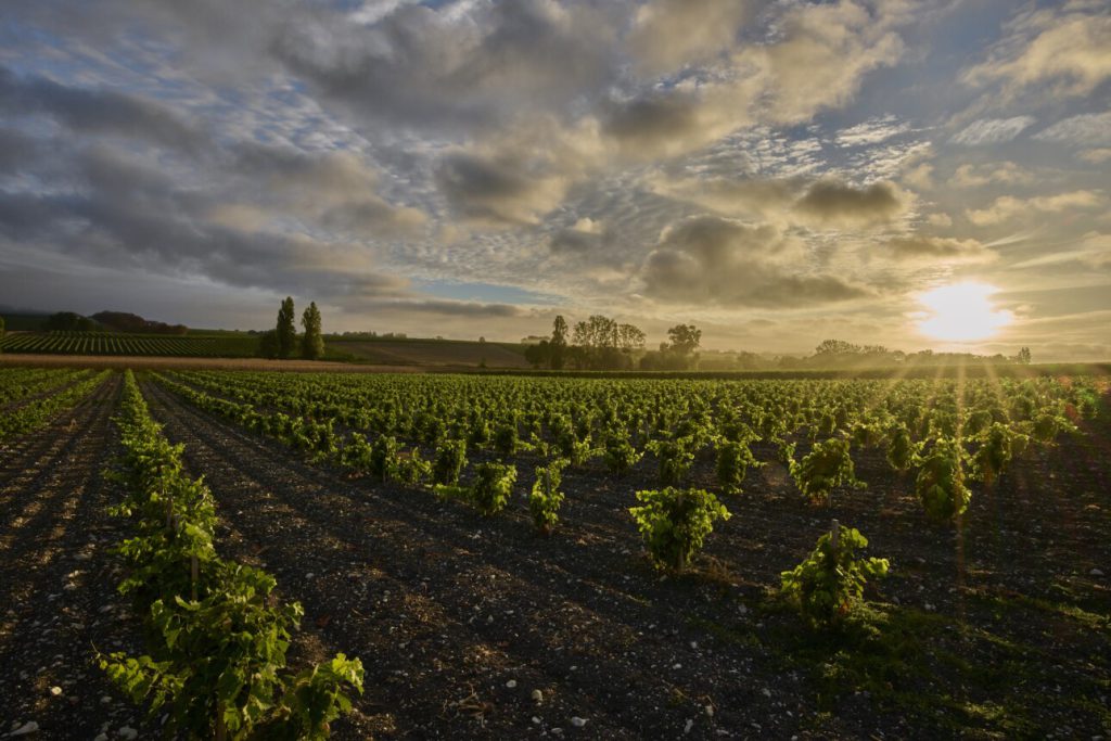 Camus Cognac, lieu d'événement d'entreprise en Charente