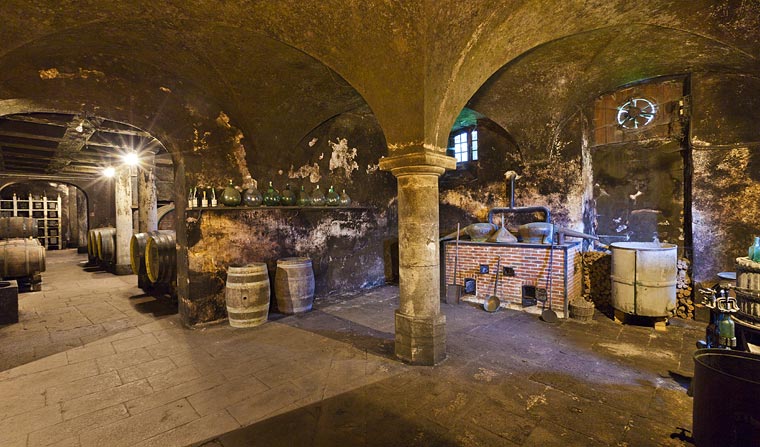 Château d&rsquo;Arlay, espace pour événement d'entreprise, Jura
