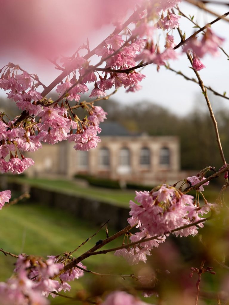 Château de Breteuil, espace pour événement d'entreprise, Yvelines