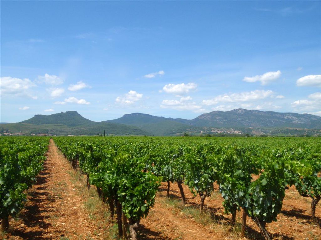 Château de Jonquières, événement d'entreprise en Hérault