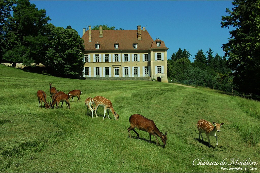 Château de Moidière, espace séminaire pour entreprise en Isère