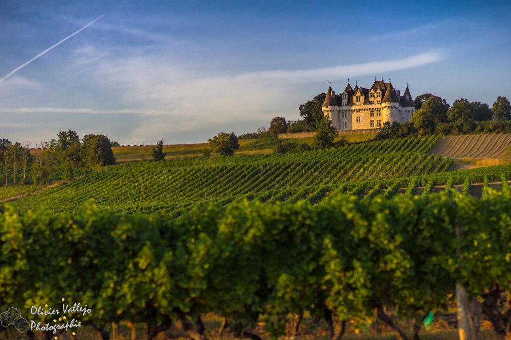 Château de Monbazillac, espace pour événement d'entreprise, Aube