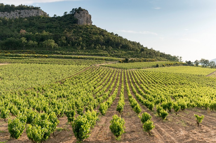Château de Roquefort, espace pour événement d'entreprise, Bouches-du-Rhône