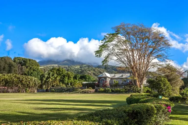 Château Depaz / Habitation la Montagne, événement d'entreprise Martinique