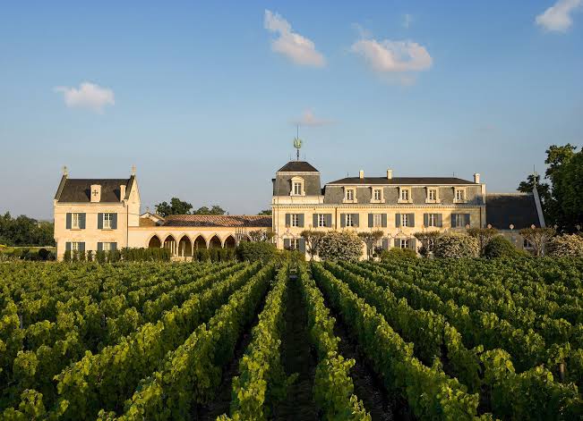 Château Haut-Brion / Domaine Clarence Dillon, espace séminaire pour entreprise en Gironde