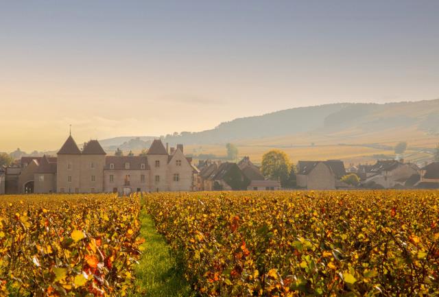 Château la Commaraine, séminaire d'entreprise, Côte-d'Or