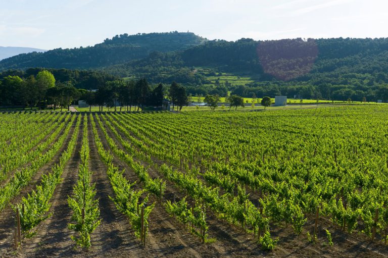 Château la Coste, événement d'entreprise Bouches-du-Rhône