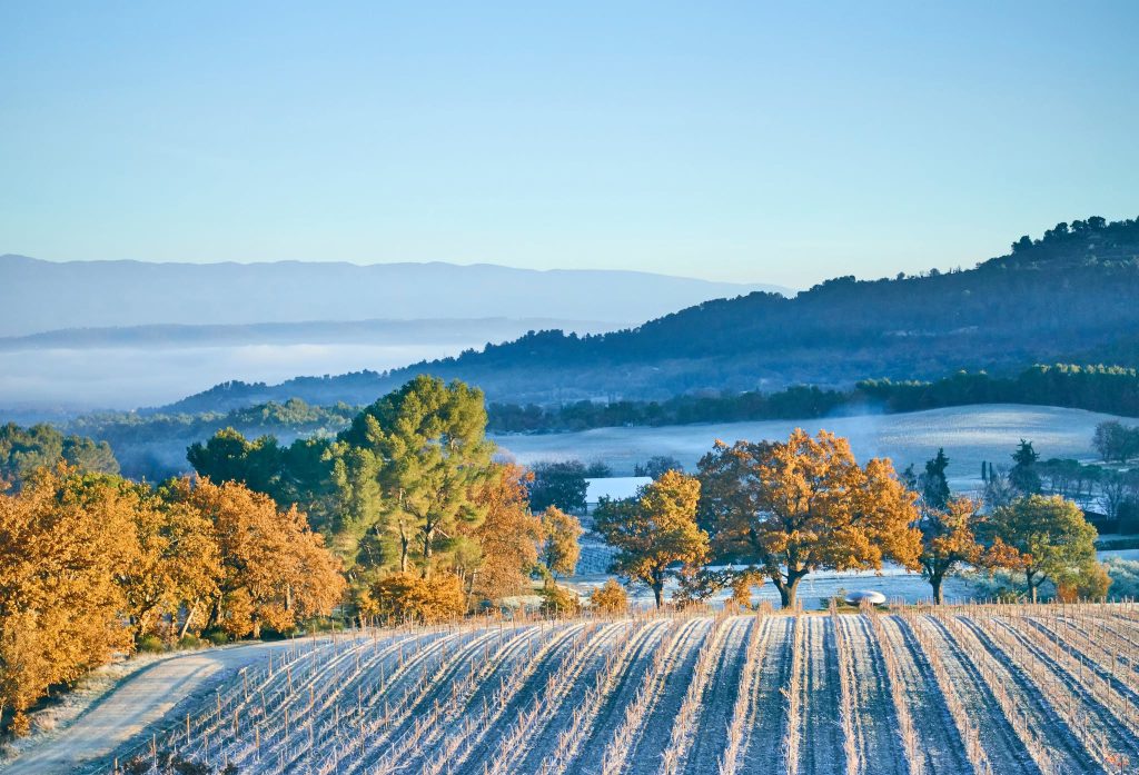 Château la Coste, séminaire d'entreprise, Bouches-du-Rhône