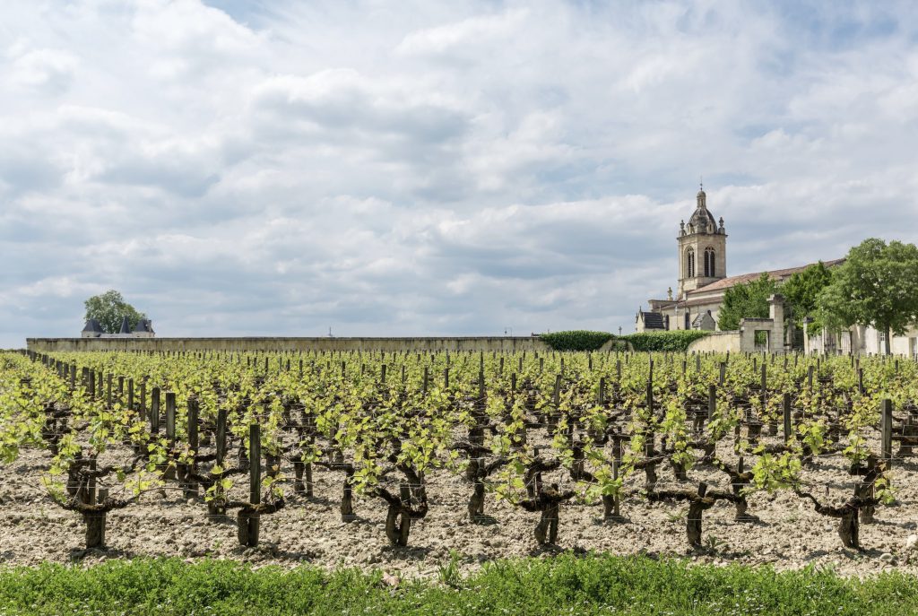 Château Margaux, espace pour événement d'entreprise, Gironde