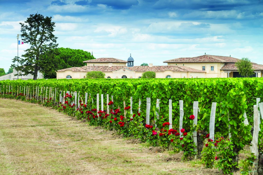 Château Pétrus, lieu d'événement d'entreprise en Gironde