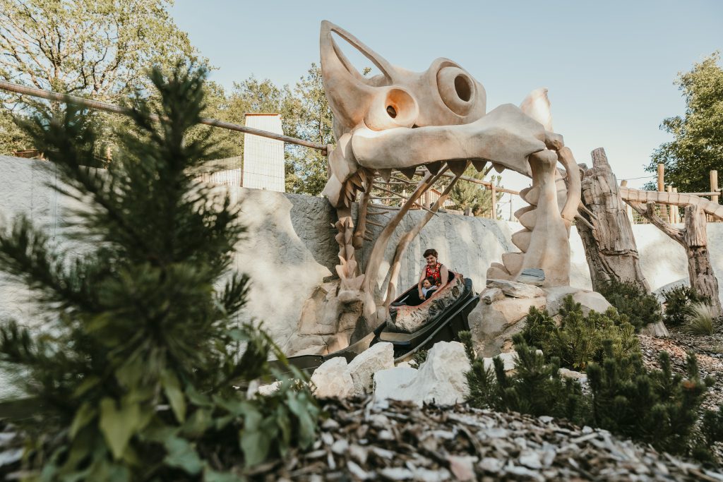 Dino-Zoo, séminaire d'entreprise, Doubs