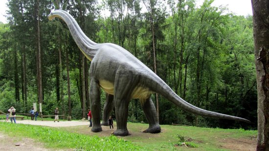 Dino-Zoo, espace pour événement d'entreprise, Doubs