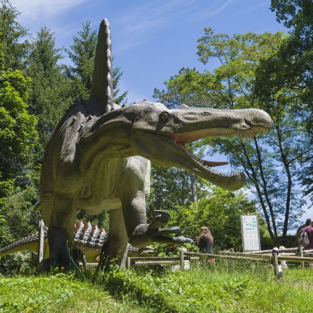Dino-Zoo, espace séminaire pour entreprise en Doubs