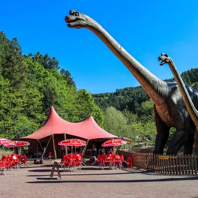 Dinopedia Parc, événement d'entreprise Gard