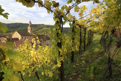 Domaine Bott-Geyl, événement d'entreprise Haut-Rhin