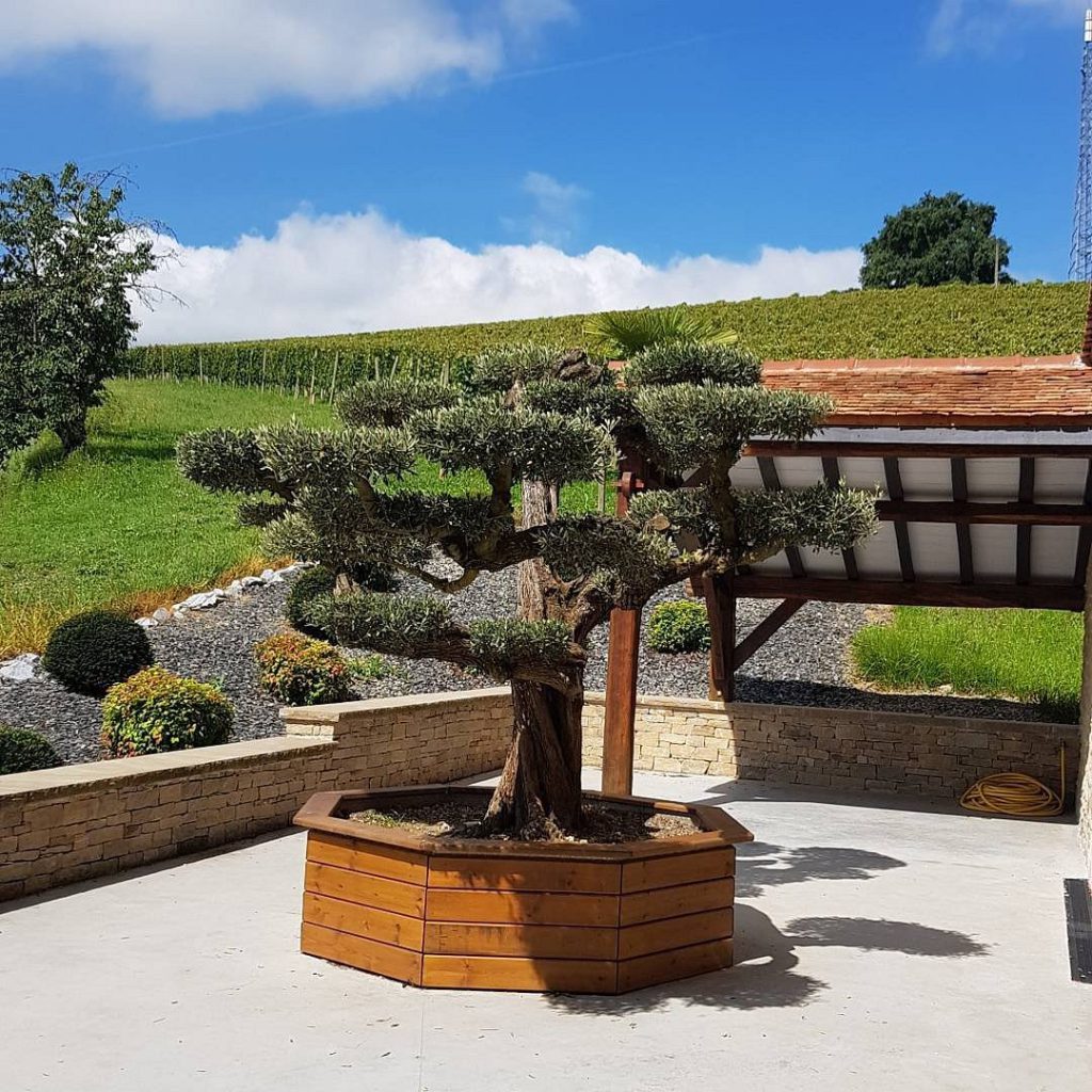 Domaine Cauhapé, espace séminaire pour entreprise en Doubs