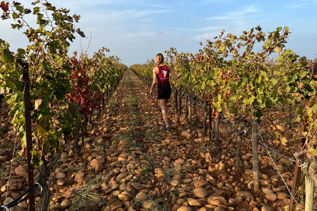 Domaine de la Mordorée, séminaire d'entreprise, Gard