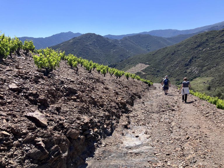 Domaine de la Rectorie, lieu pour événement d'entreprise