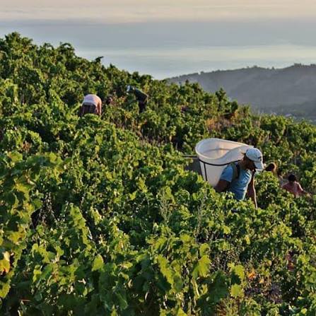 Domaine de la Rectorie, espace pour événement d'entreprise, Pyrénées-Orientales
