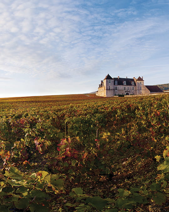 Domaine de la Romanée-Conti, événement d'entreprise Côte-d'Or