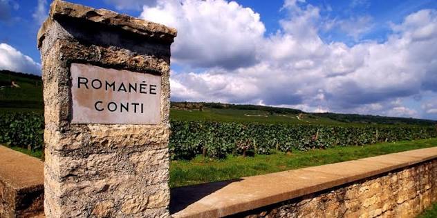 Domaine de la Romanée-Conti, séminaire d'entreprise, Côte-d'Or