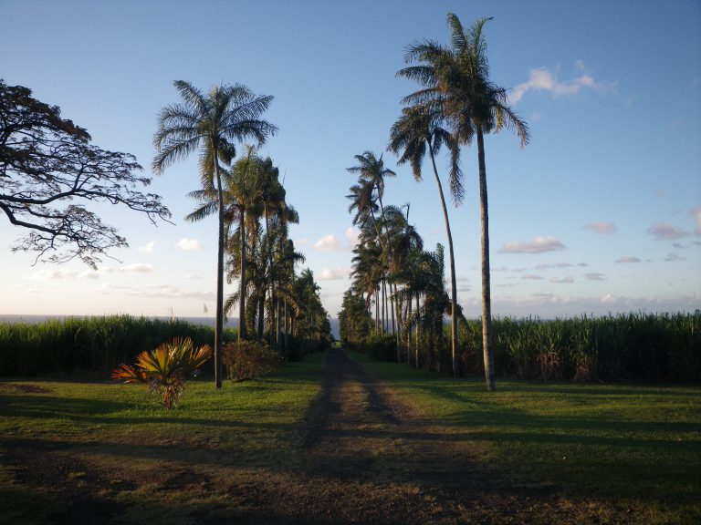 Domaine du Grand Hazier, événement d'entreprise La Réunion