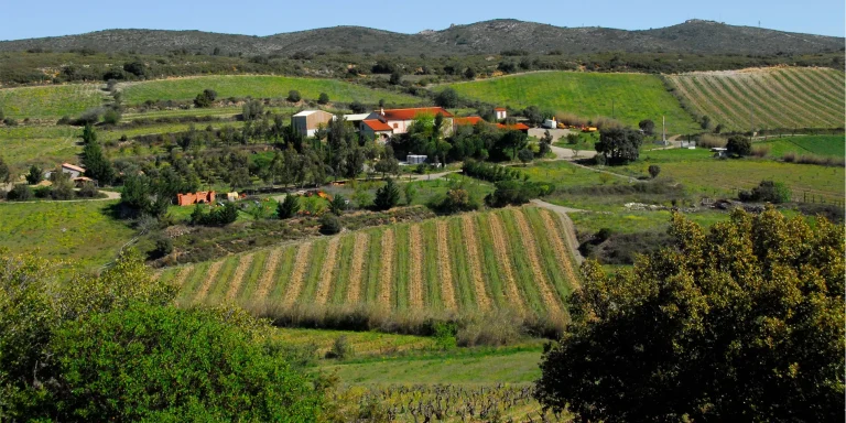 Domaine Gauby, événement d'entreprise Pyrénées-Orientales