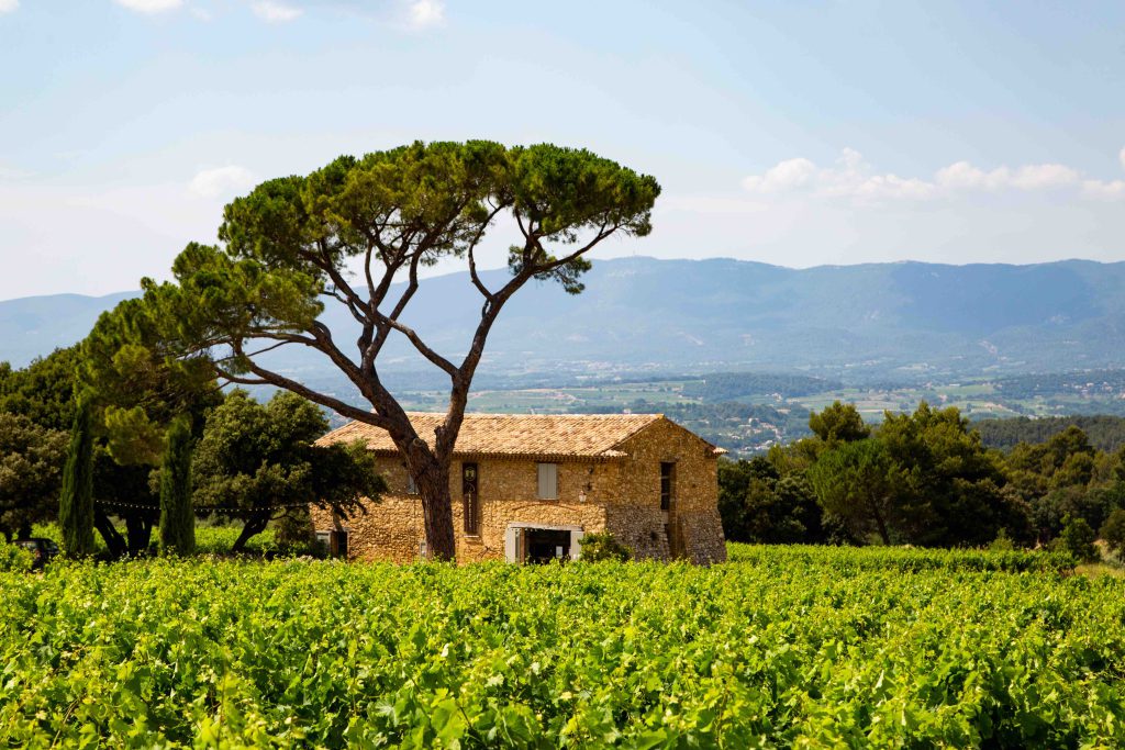 Domaine les Perpetus, espace séminaire pour entreprise en Vaucluse