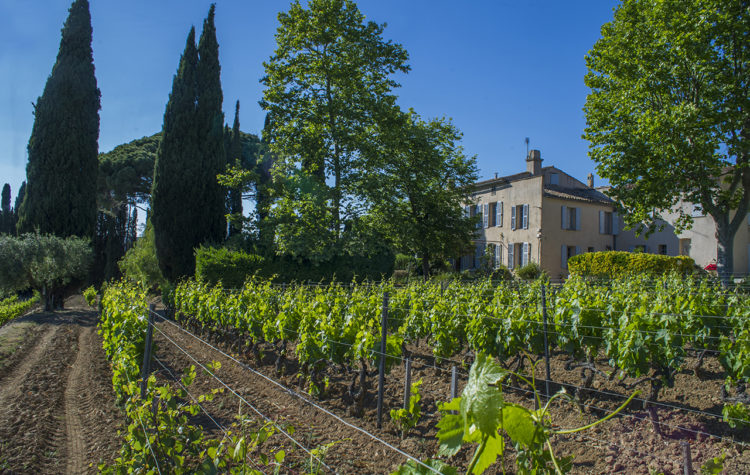 Domaine Tempier, espace pour événement d'entreprise, Var