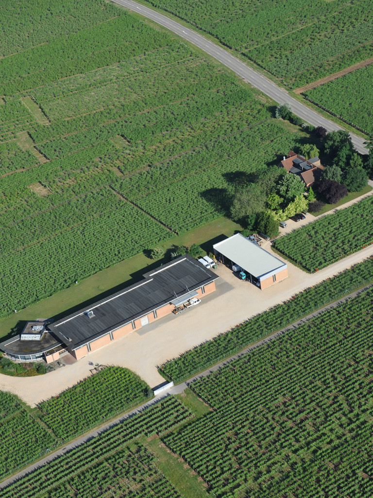 Domaine Zind-Humbrecht, événement d'entreprise Haut-Rhin