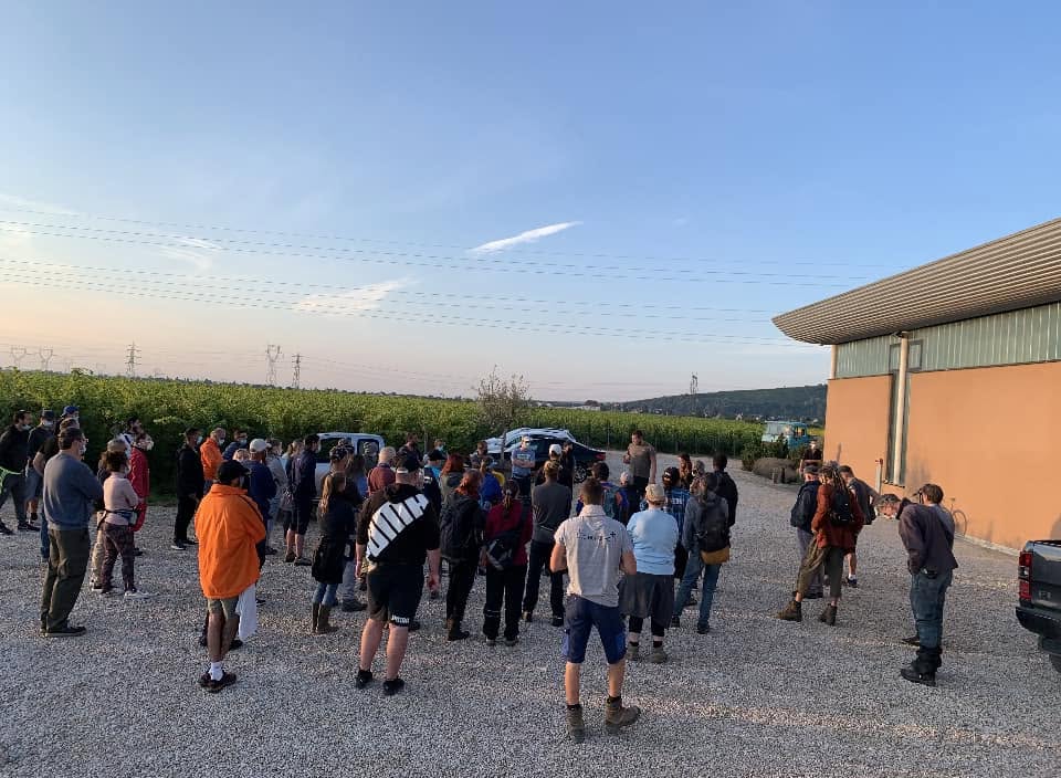 Domaine Zind-Humbrecht, séminaire d'entreprise, Haut-Rhin