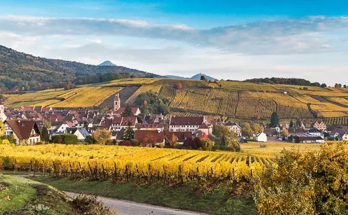 Dopff au Moulin, événement d'entreprise Haut-Rhin