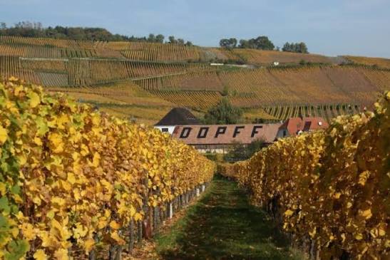 Dopff au Moulin, espace séminaire pour entreprise en Haut-Rhin