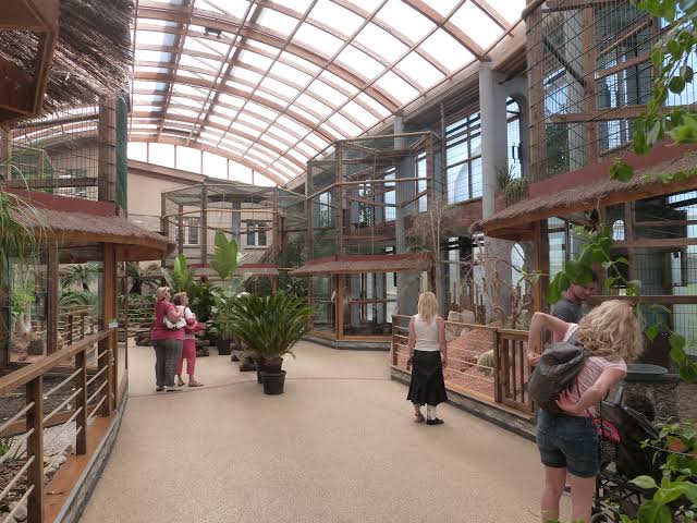 Espace Zoologique de Saint-Martin-la-Plaine Loire