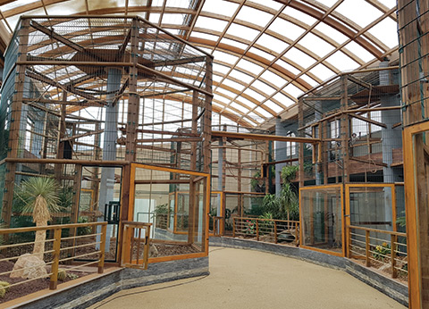 Espace Zoologique de Saint-Martin-la-Plaine, séminaire d'entreprise, Loire