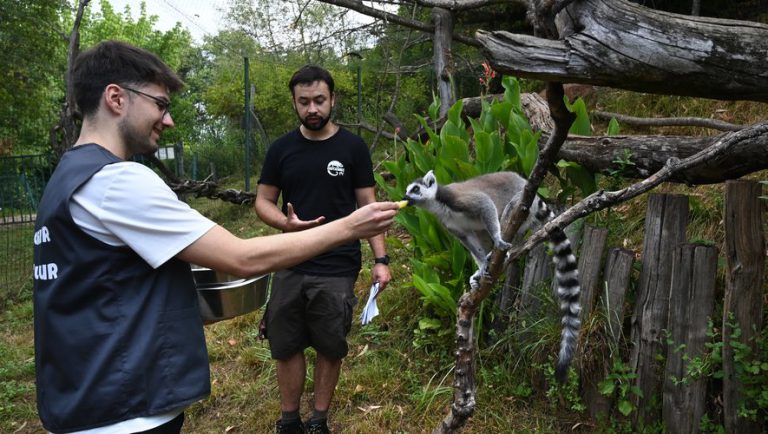 Espace Zoologique Exoticamis, événement d'entreprise Tarn
