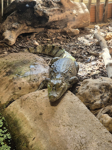 Espace Zoologique Exoticamis, espace pour événement d'entreprise, Tarn